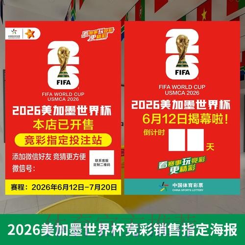 2026世界杯投注技巧大揭秘与深度解析